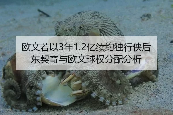 欧文若以3年1.2亿续约独行侠后 东契奇与欧文球权分配分析