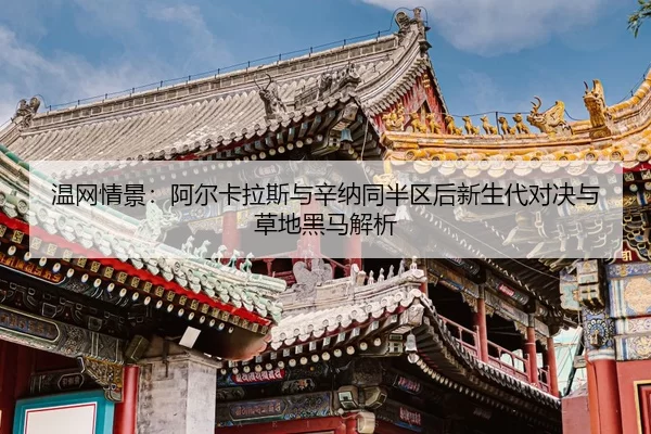 wen-wang-qing-jing-a-er-ka-la-si-yu-xin-na-tong-ban-qu-hou-xin-sheng-dai-dui-jue-yu-cao-di-hei-ma-jie-xi-2-257.jpg